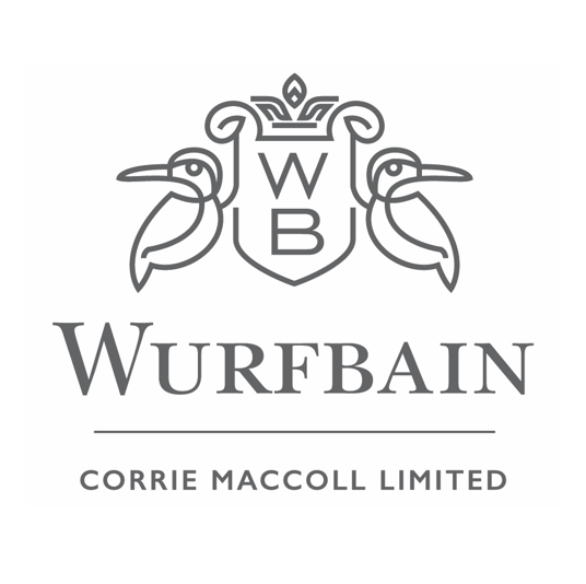 Partner Logo
